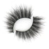 Woman of Worth (WOW!) Lash Style
